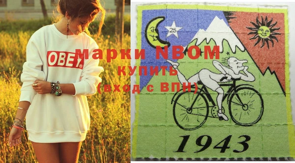 шишки Алзамай